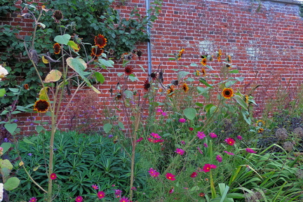 Herbaceous border