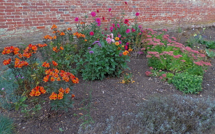 Assorted flowers