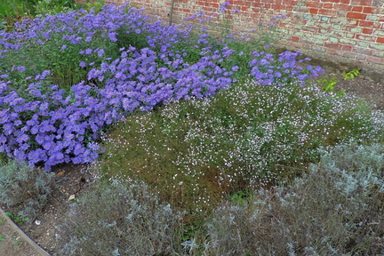 Herbaceous border