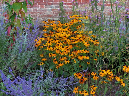 Assorted flowers