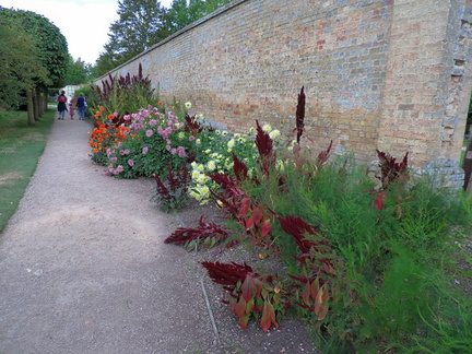 Herbaceous border