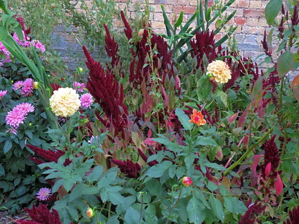 Mixed flowers