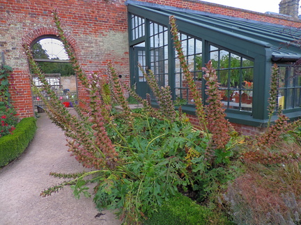 Walled garden