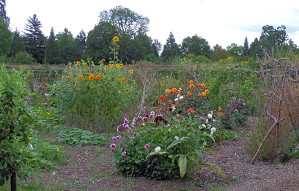 Assorted flowers