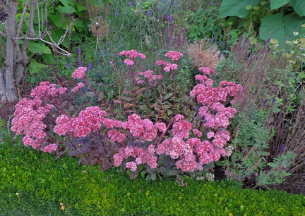 Flower bed