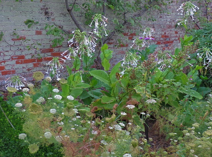 White flowers