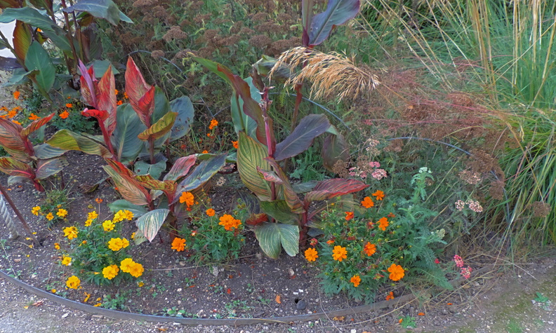 Flower beds