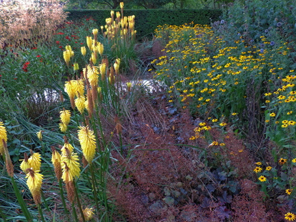 Yellow flowers