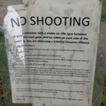 No shooting