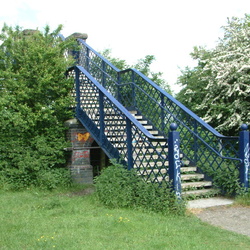 Coldhams common and Ditton Meadow