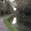 Along the canal