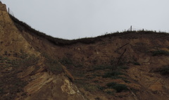 Collapsed fence