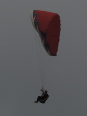 Paraglider