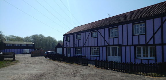 Purple farm