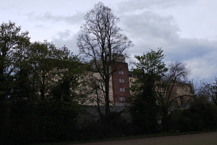 Mill through the trees