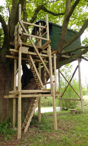 16-Treehouse.jpg