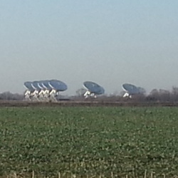 Haslingfield and Shelford