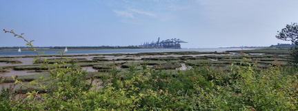 Mud flats and Felixstowe