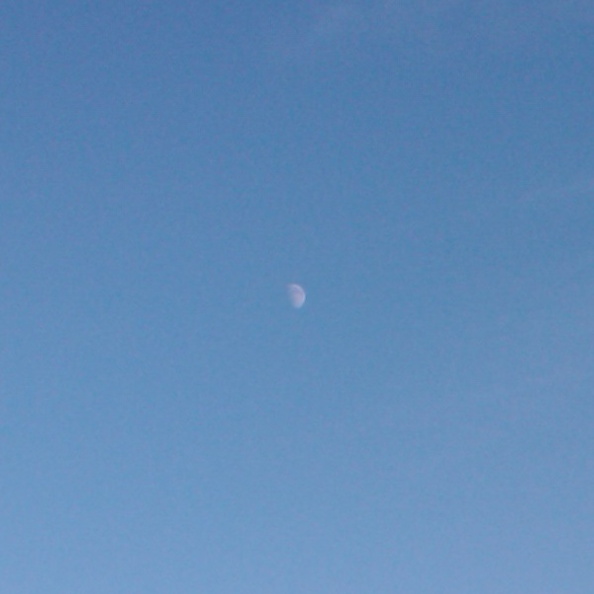 8-Moon.jpg