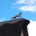 Thatched fox