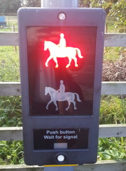 Horse crossing