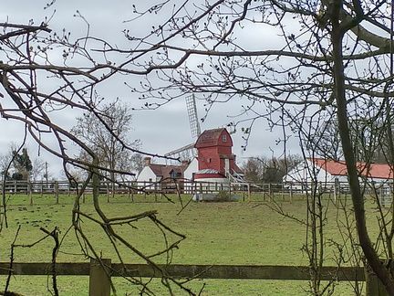 Windmill through the trees