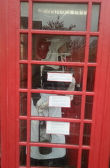 Phone Box