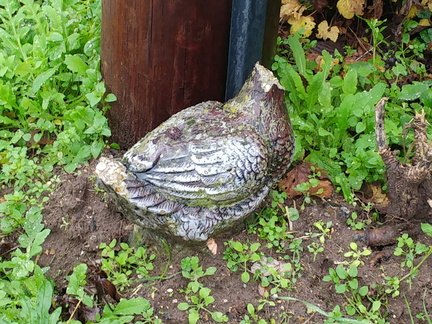 Headless stone bird