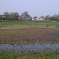 Marshes, train and birds