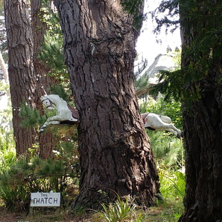 Horse through a tree