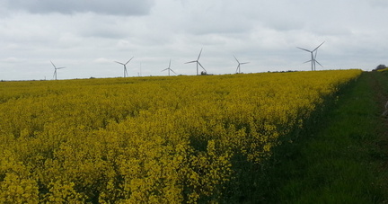 Fields and turbines