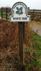 White Fen