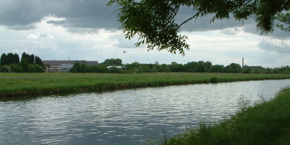 Ditton Meadow with a chimney in the background