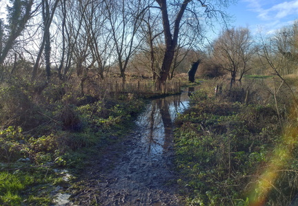 Flooded path