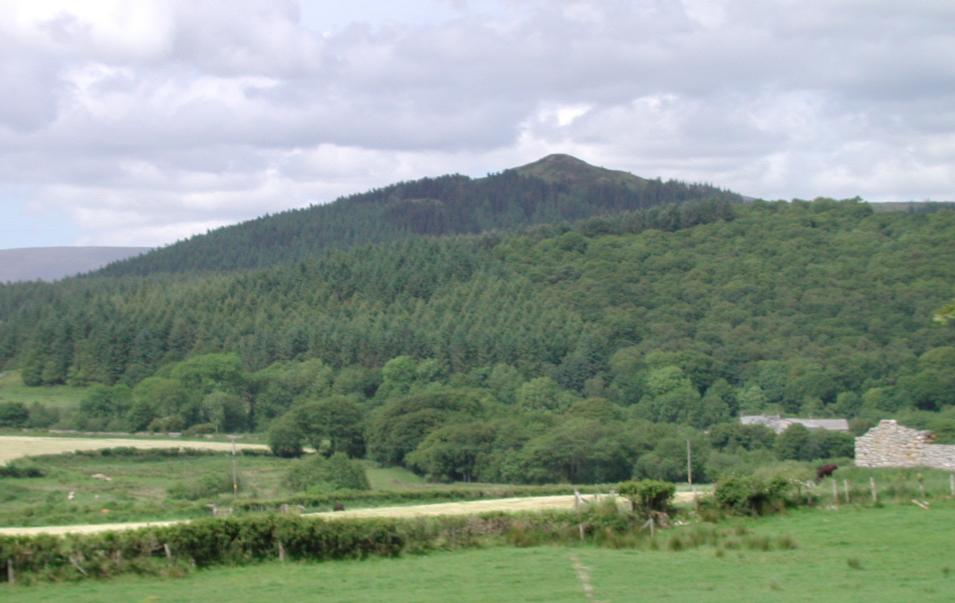 Hill with forest