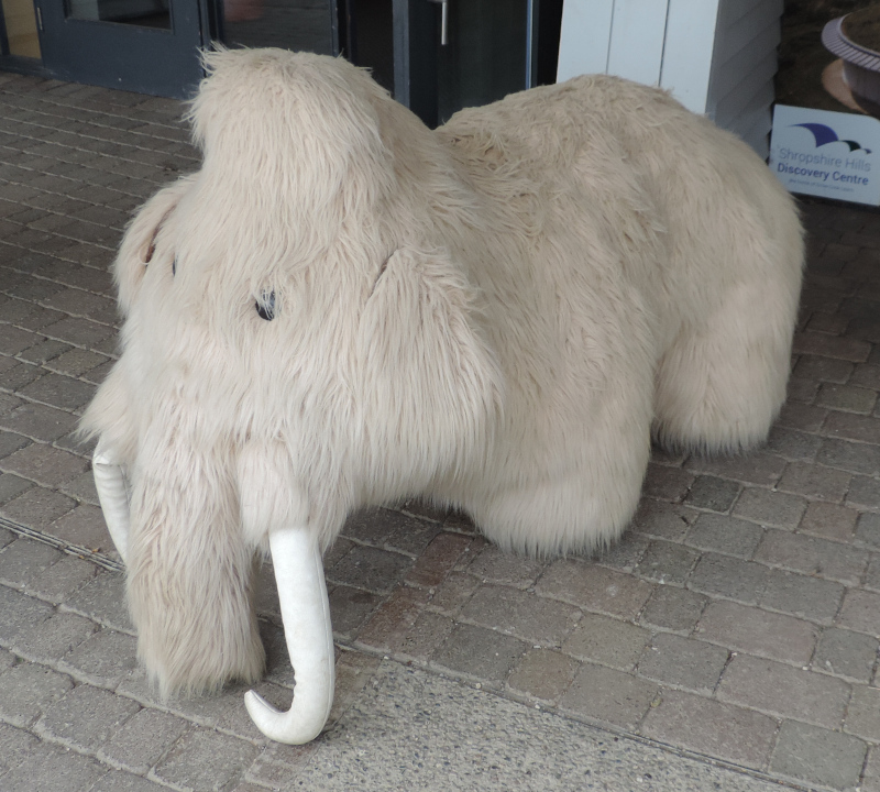 Fluffy Mammoth