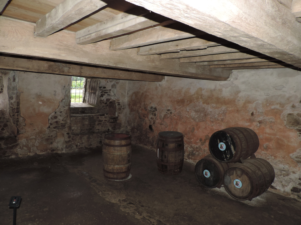 Cellar