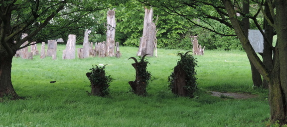 Horned stumps