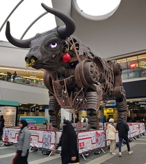 Bull