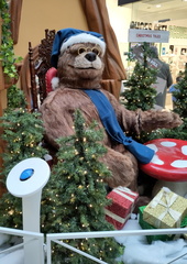 Bear