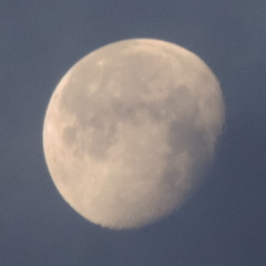 Moon