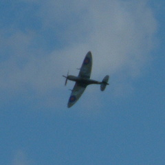 Spitfire