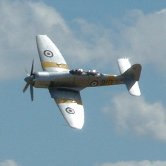 Silver plane