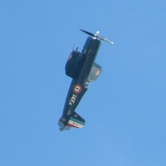 Looping