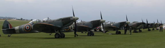 Spitfires