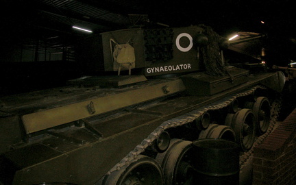 Gynaeolator