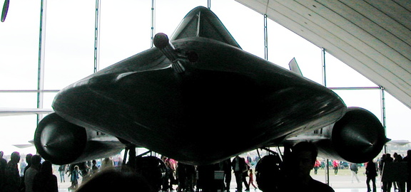 Blackbird