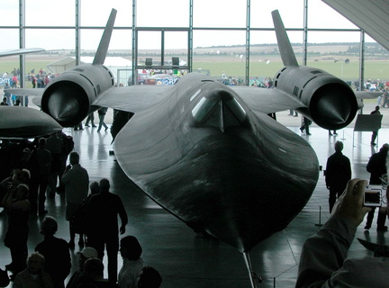 Blackbird