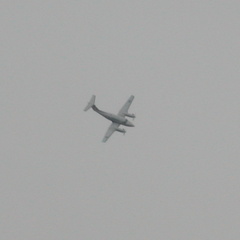 Grey Plane