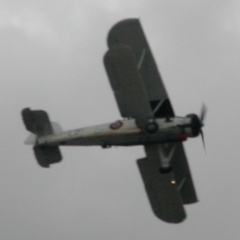 Underside